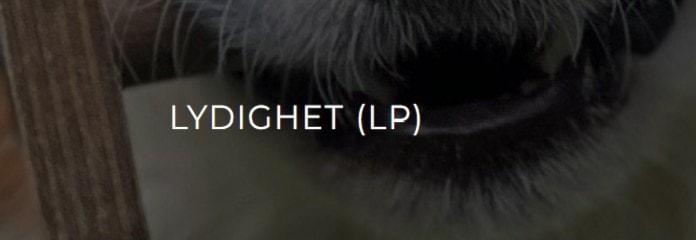 Velkommen til offisielt lydighetsstevne 15. og 16. mars